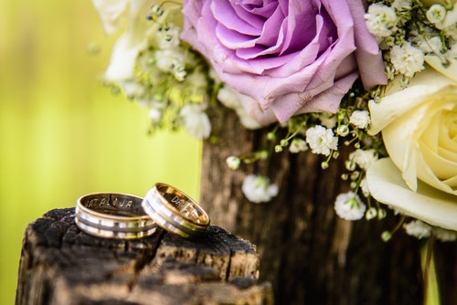 Gold wedding bands sitting on top of a stump in nature with purple and yellow roses next to them.